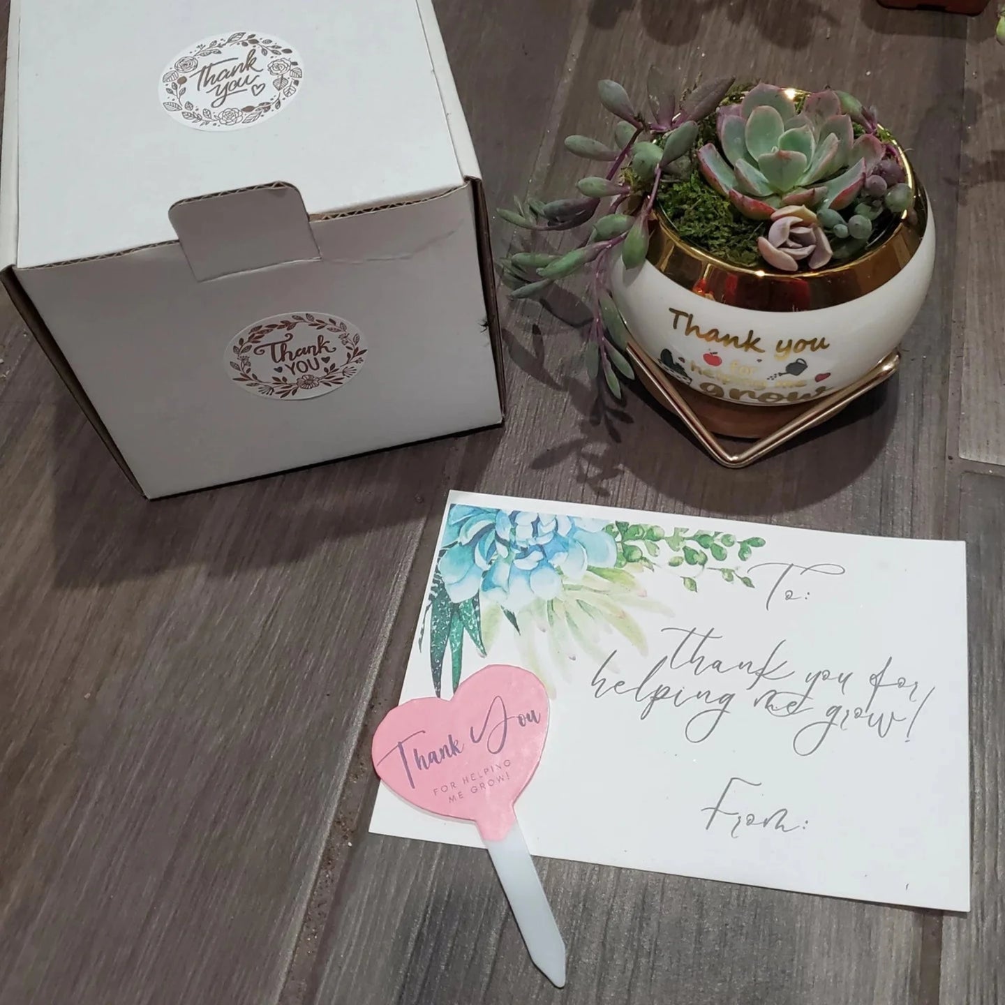 "Thank you for helping me grow" Succulent Gift Box